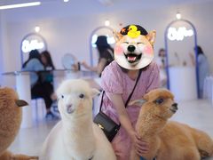 -Blue Concept Cafe&Farm·關於藍