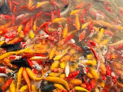 -泰安地下龙宫景区