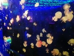 -深圳龙华星河COCO City(民治店)