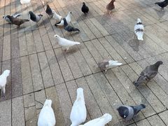 -中航城君尚购物中心