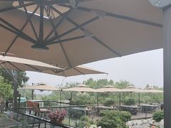 -蘇河湾·新鲁菜·泰山宴(泰山店)