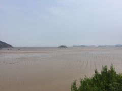-北岐滩涂