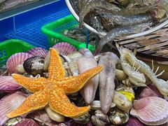 -船梆煮•蒸汽海鲜·炉火烤肉(五四广场店)