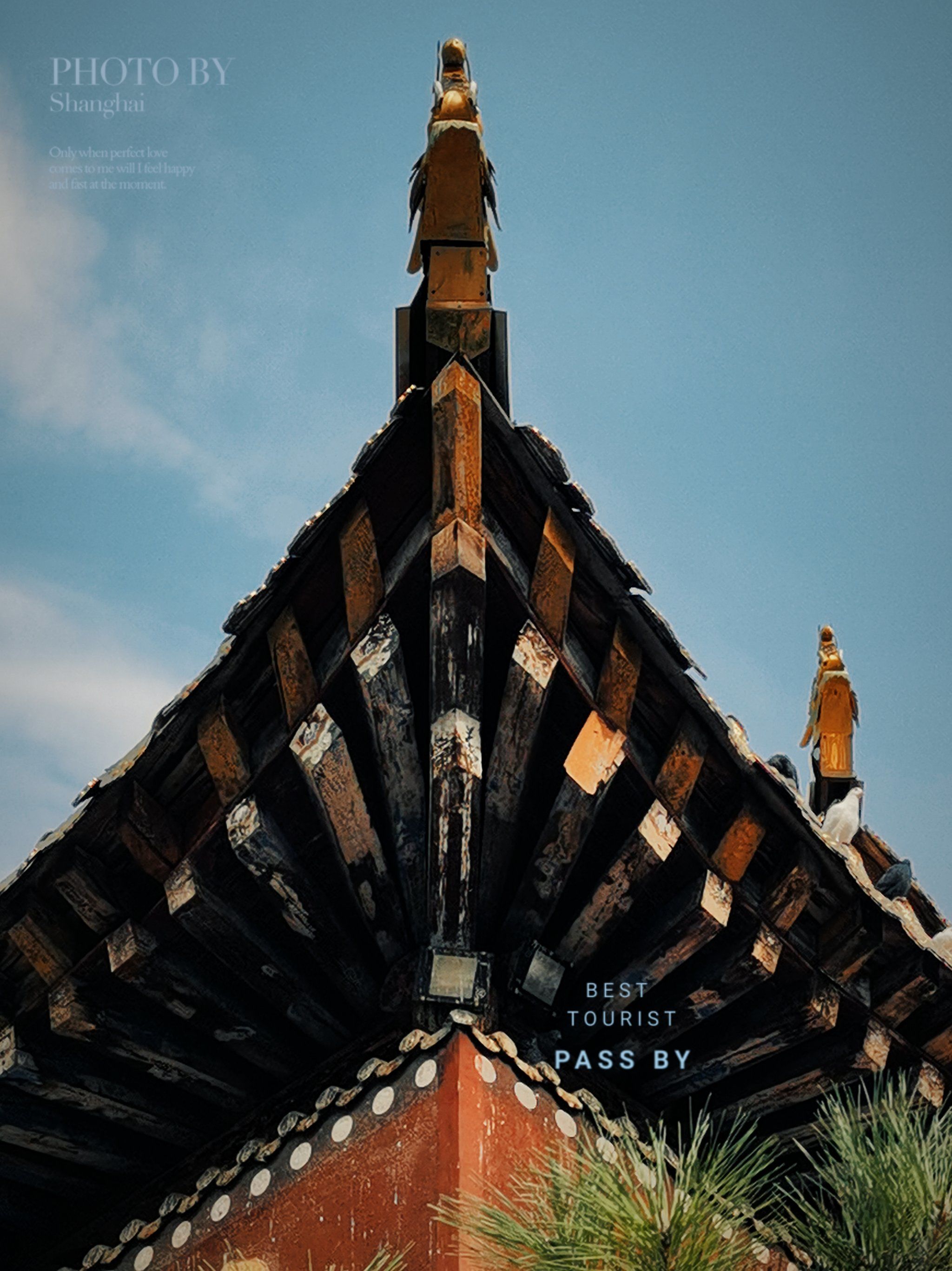 95概述
有雄伟的山门,天王殿,法轮亭,大雄宝殿◇殿前有近2米高的