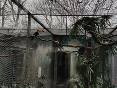 -红山森林动物园