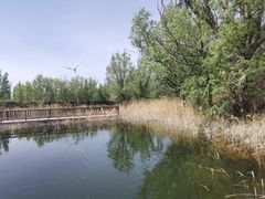 -怀来官厅水库