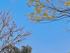 -白石龙音乐公园