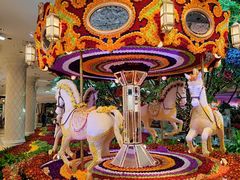 -拉斯维加斯永利酒店