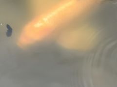 -月牙潭公园