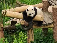 -沈阳森林动物园