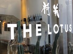 -几荷·恰似故人来(秀水广场店)