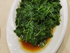 -大富贵(旗舰店)