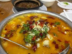 -马姐菜饭馆