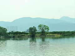 -三垟湿地