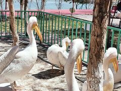 -水上乐园·欢乐世界