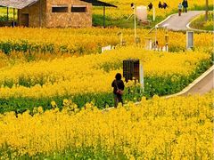 -三圣花乡旅游区