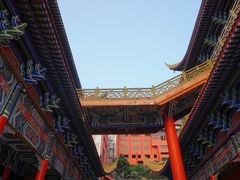 -东莞市大岭山森林公园