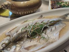 清蒸太湖白鱼-天福苑(崇宁路店)