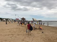 -碧海金沙