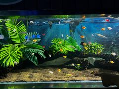 -秦皇岛新澳海底世界