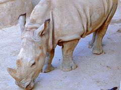 -济南野生动物世界