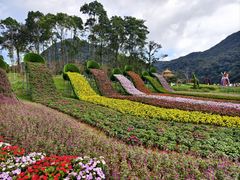 -广州市石门国家森林公园