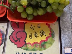 -马陆小张葡萄园农家乐