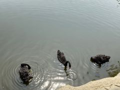 -石家庄市动物园