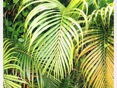 -九毛九西北菜(大东海店)