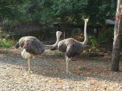 -千岛湖东南湖区