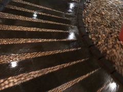 -陆地游轮吉林神农温泉