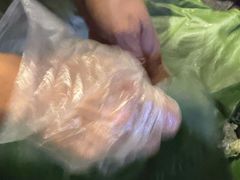 -圣约瑟夫大教堂