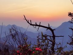 -雁荡山雁湖景区