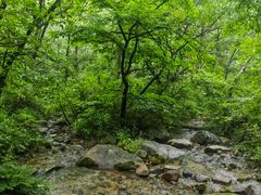 -玉渡山自然风景区