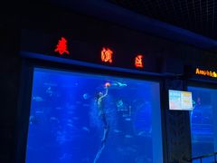 -中央电视塔旋转餐厅