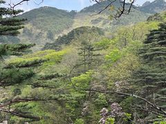 -黄山排云型旅酒店餐厅