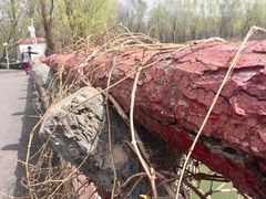-顺鑫绿色度假村