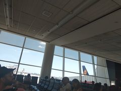 -约翰·菲茨杰拉德·肯尼迪国际机场