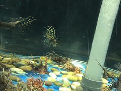 -苏州海洋馆