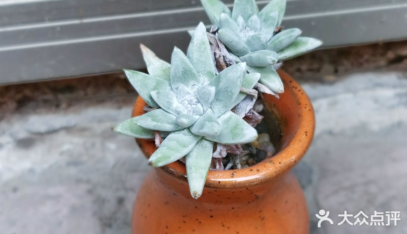 入坑3年 感谢你们的陪伴