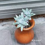 入坑3年 感谢你们的陪伴