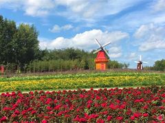 -北纬44度·金珠花海休闲农业旅游景区