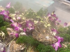 -蚝英雄鲜蚝自助专门店(长楹天街直营店)