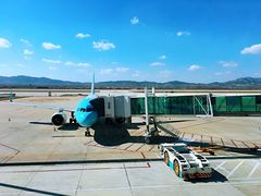 -威海大水泊国际机场