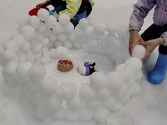 -Mr·Kuma酷么先生雪之乐园