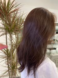 -HG美发设计沙龙