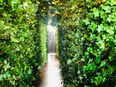 -顶层酒吧ROOF(上海艾迪逊酒店)