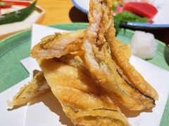 -镹·鱼料理  国产鱼使用店