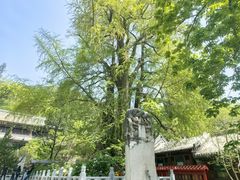 -潭柘寺景区