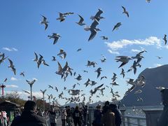 -滇池海埂公园